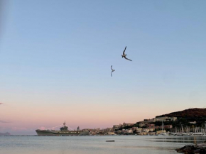 Vico 11